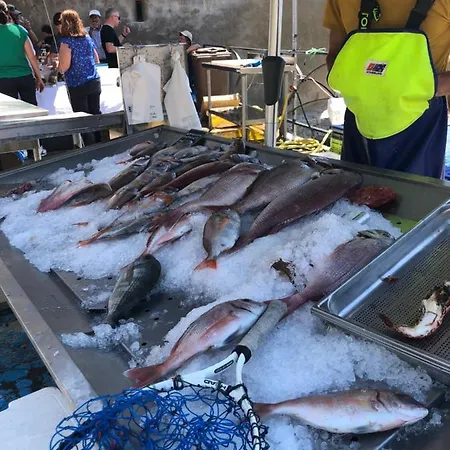 Les Galets Bleus De Villa *