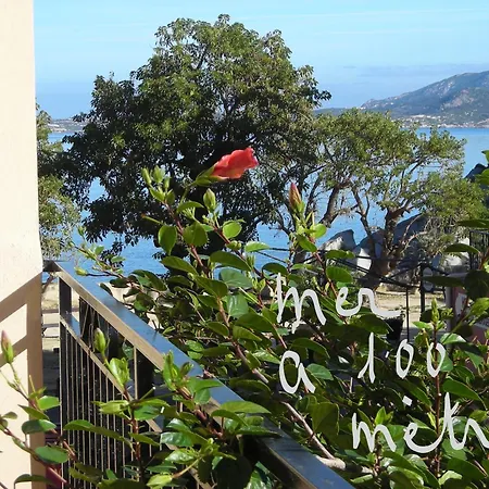 Les Galets Bleus De Calvi (Corsica)