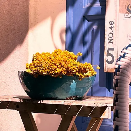 Les Galets Bleus De * Calvi (Corsica)