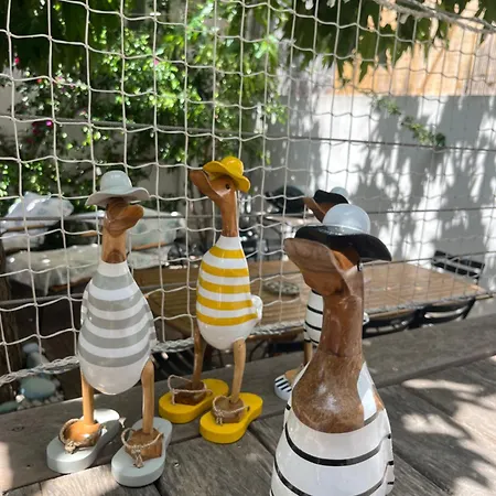 Les Galets Bleus De Villa Calvi (Corsica)